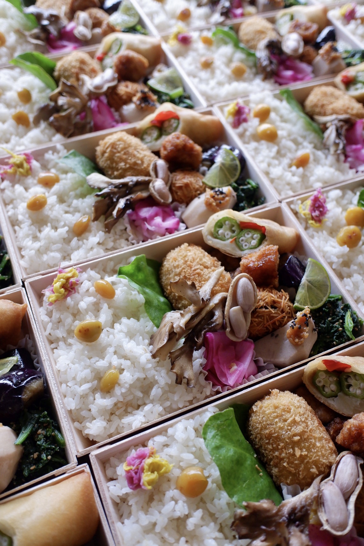 11/8(土) Autumun Picnic at 南町テラス（逗子）